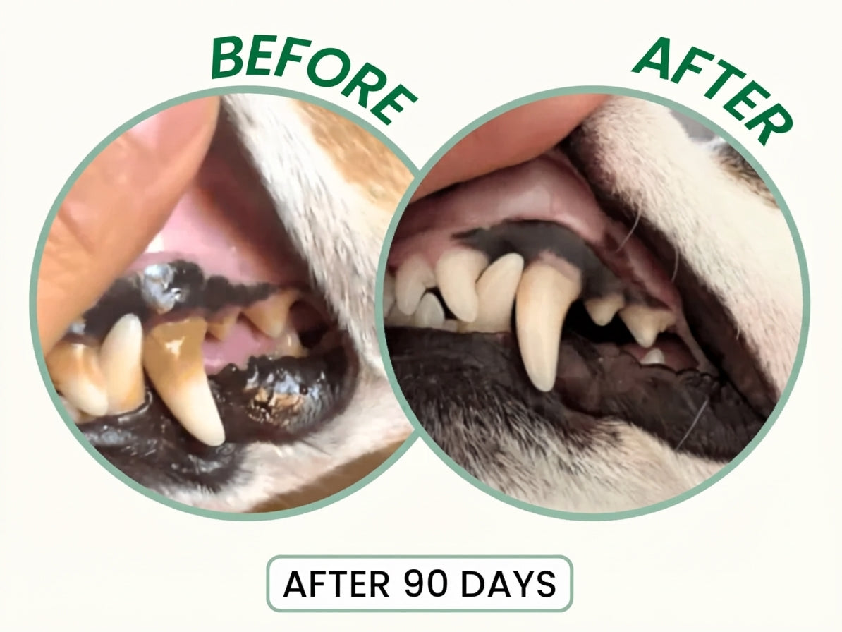 Before and after results