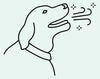 Stops bad breath at the source